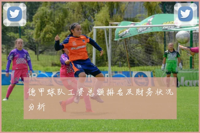 德甲球队工资总额排名及财务状况分析
