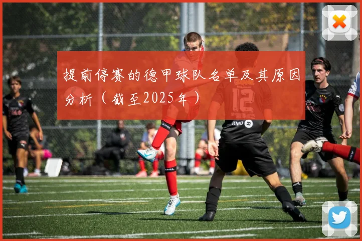 提前停赛的德甲球队名单及其原因分析（截至2025年）