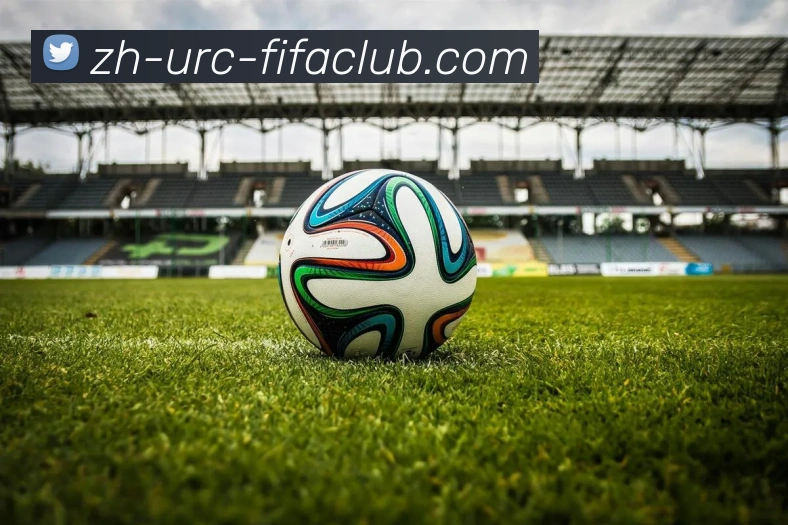 世界杯直播服务体系