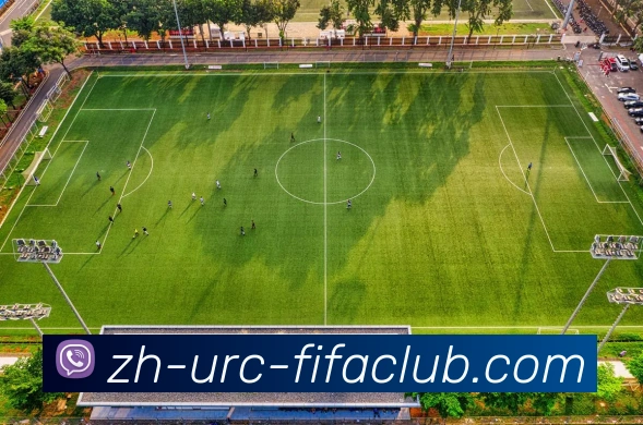 世界杯直播APP 体育赛事宣传图